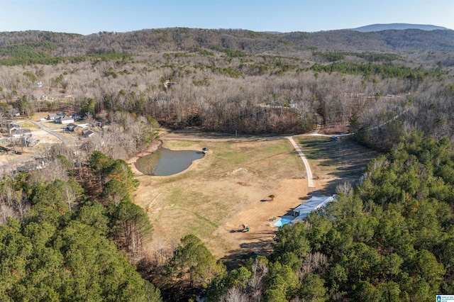 bird's eye view with a view of trees and a water and mountain view