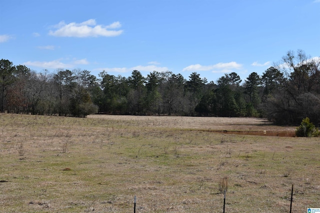 view of local wilderness featuring a rural view