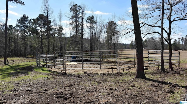 view of yard with an exterior structure, an outbuilding, and a rural view