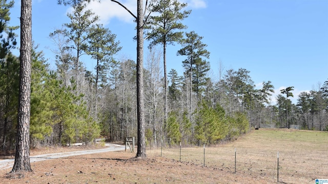 view of local wilderness