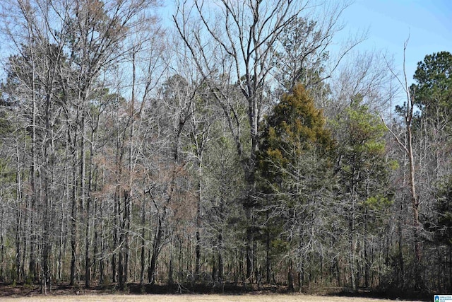 view of local wilderness featuring a view of trees