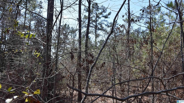 view of nature with a forest view