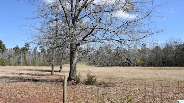 view of local wilderness