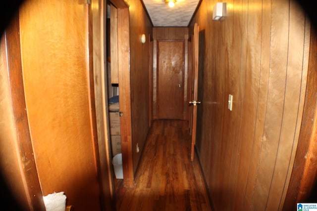 corridor featuring dark wood-type flooring and wooden walls