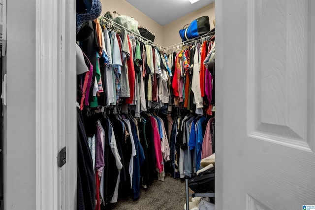 walk in closet with carpet floors