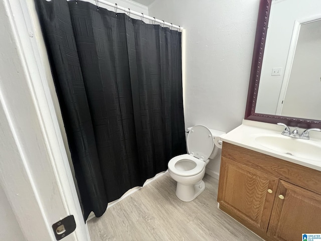 bathroom with vanity, toilet, and wood finished floors