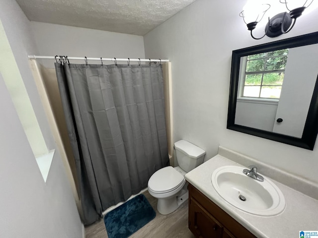 bathroom featuring toilet, wood finished floors, a textured ceiling, and vanity