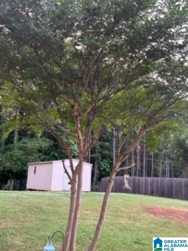 view of yard featuring an outbuilding, fence, and a storage unit