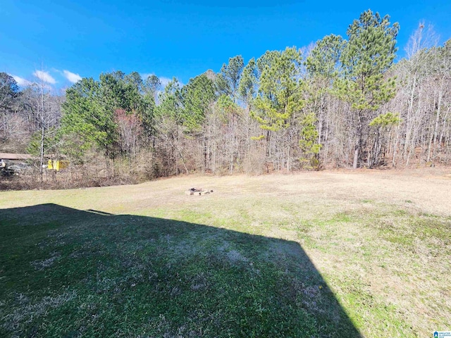 view of yard featuring a wooded view