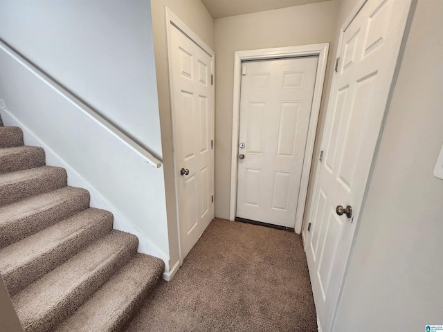 interior space featuring carpet