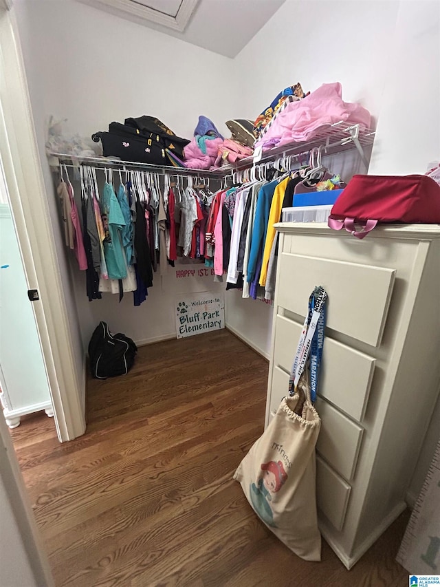 walk in closet with wood finished floors