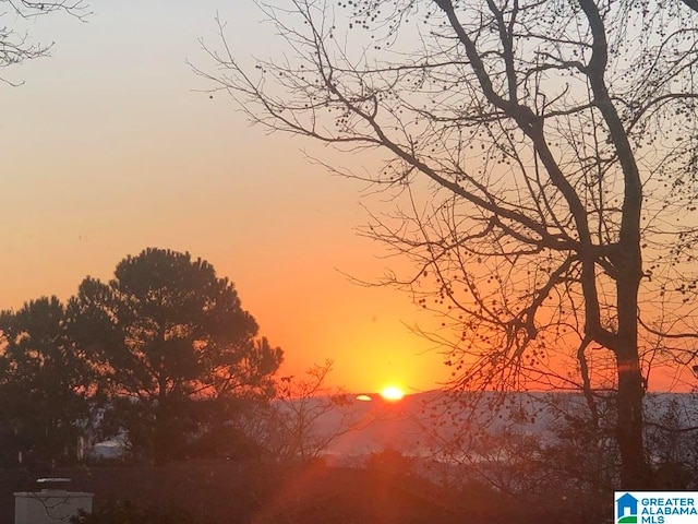 view of nature at dusk