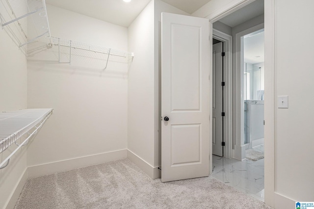 spacious closet with light carpet