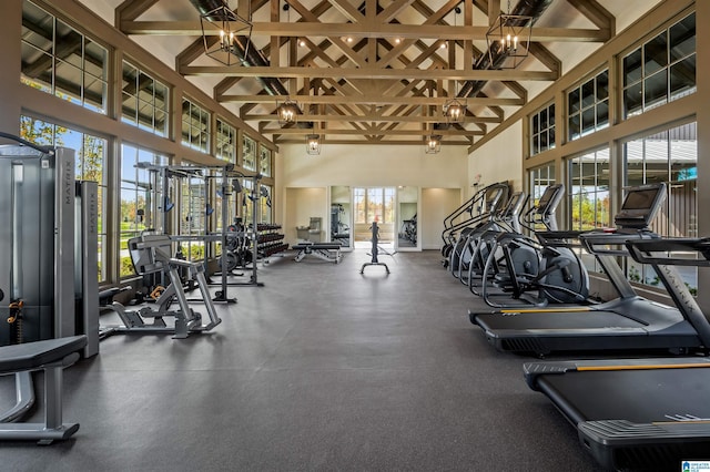 workout area with a high ceiling