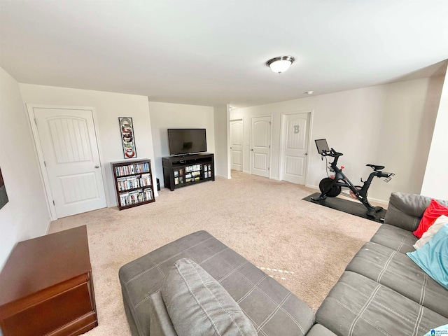 view of carpeted living area