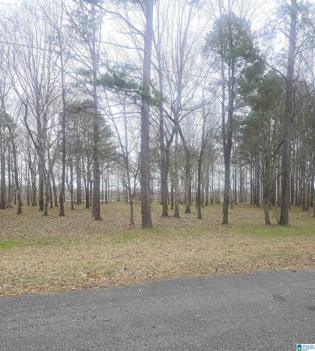 Cypress Point Dr Unit 12, Akron AL, 36776 land for sale