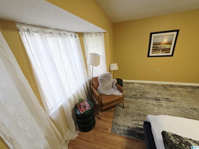 sitting room featuring a textured ceiling, wood finished floors, and a healthy amount of sunlight