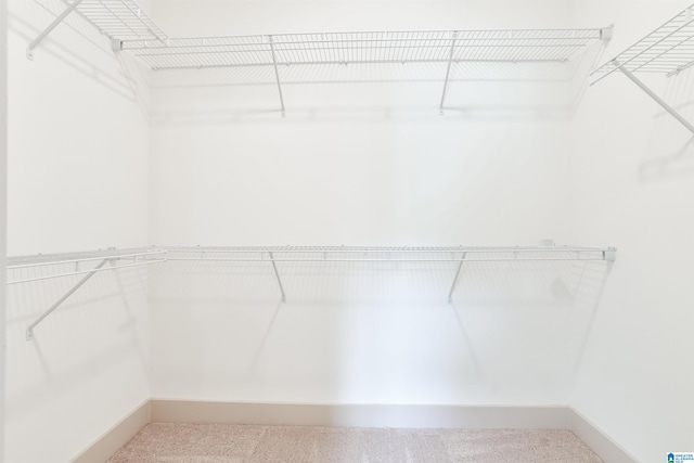 spacious closet with carpet flooring