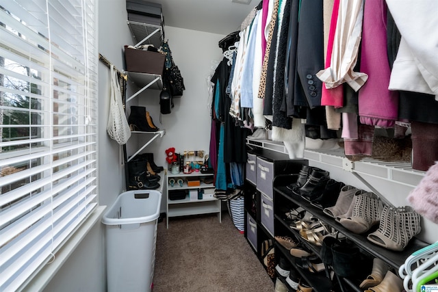 spacious closet featuring carpet