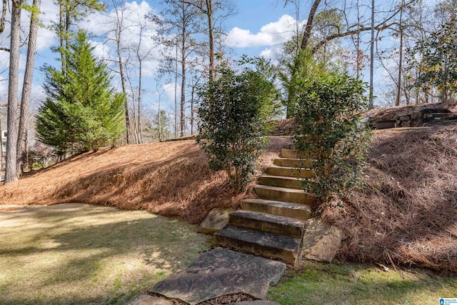 view of yard featuring stairs