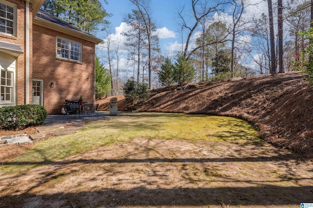 view of yard with a patio