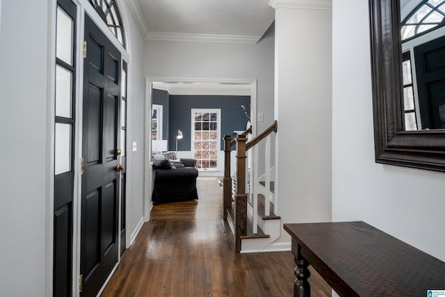 entryway with baseboards, stairway, dark wood-type flooring, and crown molding