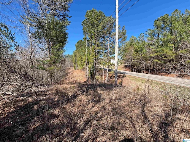 Listing photo 3 for 7380 Narrows Rd Unit 148/-, Acres, Pinson AL 35126