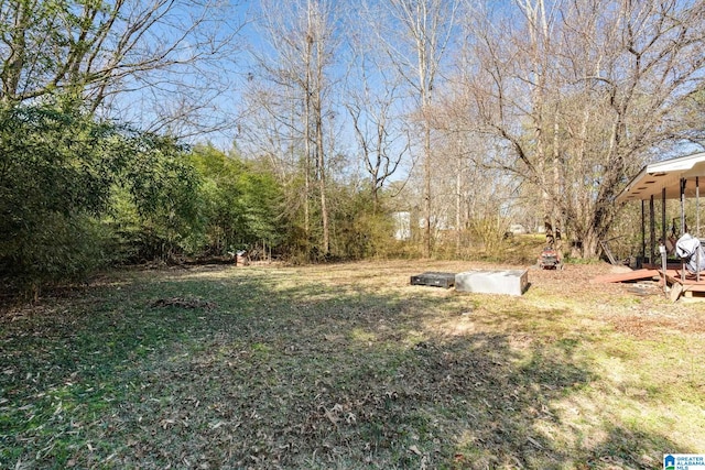 1877 Old Sylacauga Hwy, Sylacauga, AL 35150 - view of yard