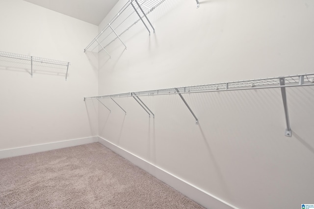 walk in closet with carpet