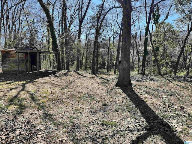 view of yard with an outbuilding