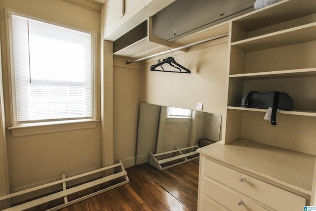 walk in closet with dark wood-style flooring