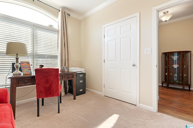 carpeted office space with baseboards and ornamental molding