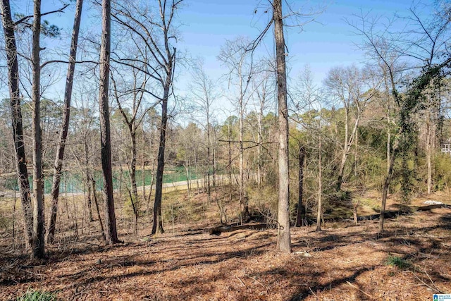 view of landscape with a wooded view