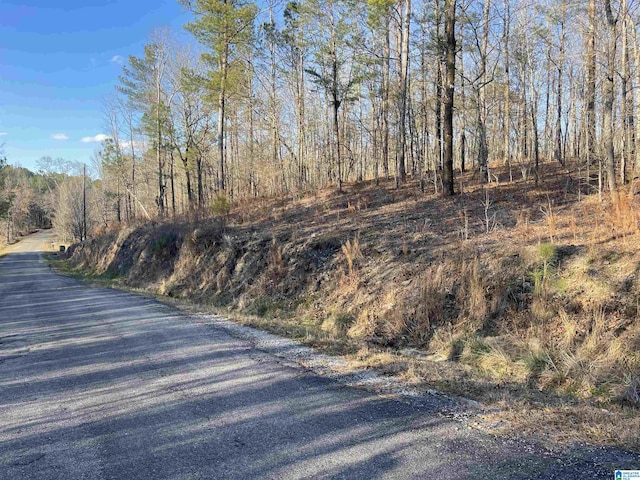 0 County Road 195 None, Unit None, Clanton AL, 35045 land for sale