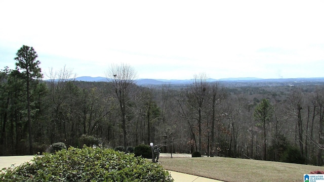 mountain view with a forest view