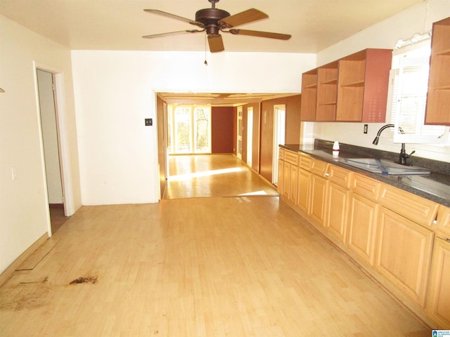 kitchen featuring light wood finished floors, a ceiling fan, dark countertops, open shelves, and a sink