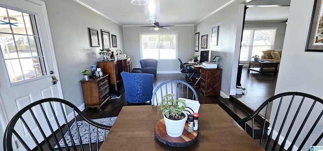 dining room featuring dark wood-type flooring, a wealth of natural light, and ornamental molding