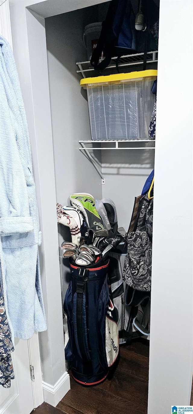 walk in closet featuring wood finished floors