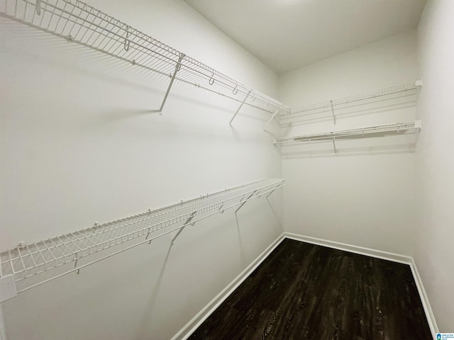 walk in closet featuring dark wood-type flooring