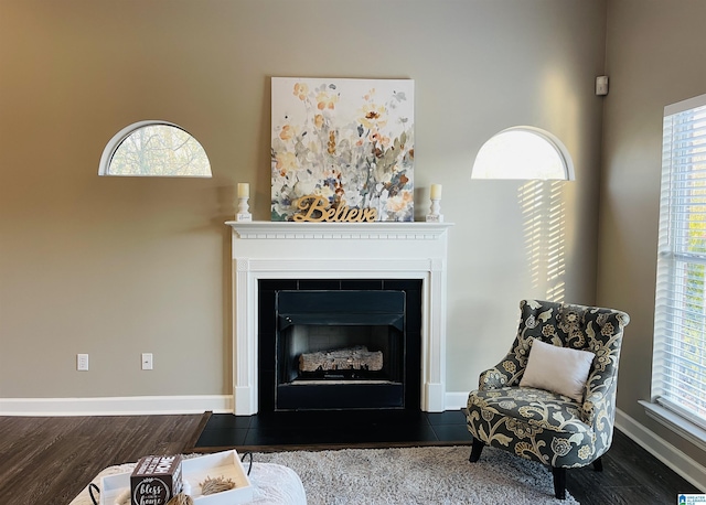 living area featuring wood finished floors, a fireplace with flush hearth, and baseboards