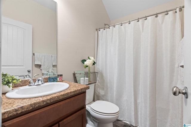 bathroom with toilet and vanity