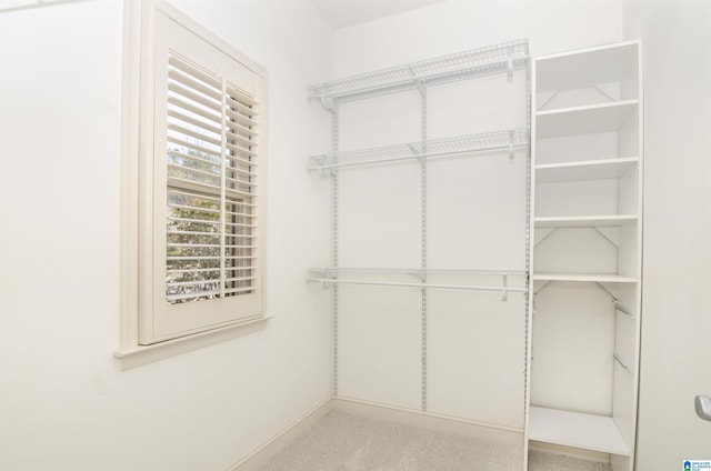 spacious closet with light carpet