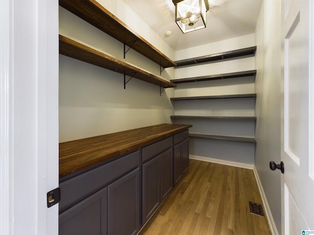 walk in closet with visible vents and wood finished floors