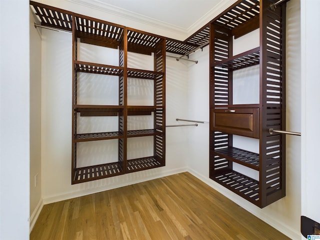 walk in closet featuring wood finished floors