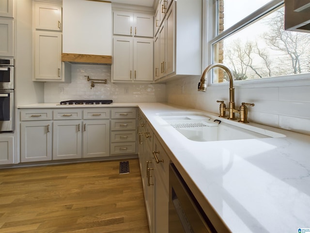 kitchen featuring stainless steel appliances, tasteful backsplash, a sink, wood finished floors, and premium range hood