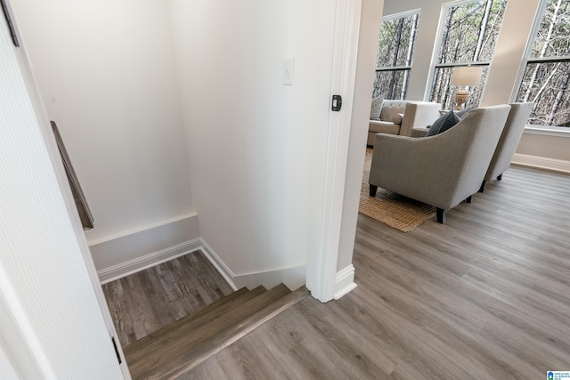 interior space featuring wood finished floors and baseboards