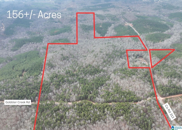 Listing photo 2 for 156/-ACRES County Road 313 Unit 156/-, Acres, Wedowee AL 36278