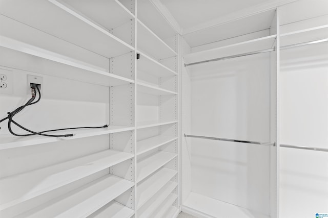 view of spacious closet