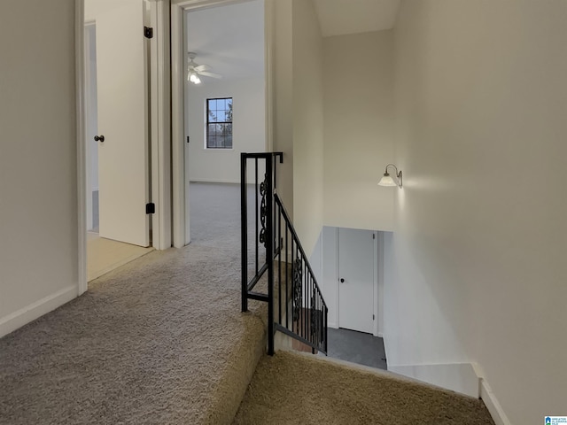 stairs featuring carpet, ceiling fan, and baseboards