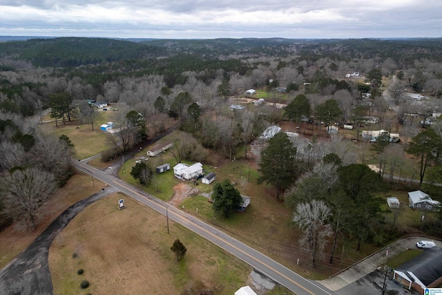 bird's eye view with a view of trees